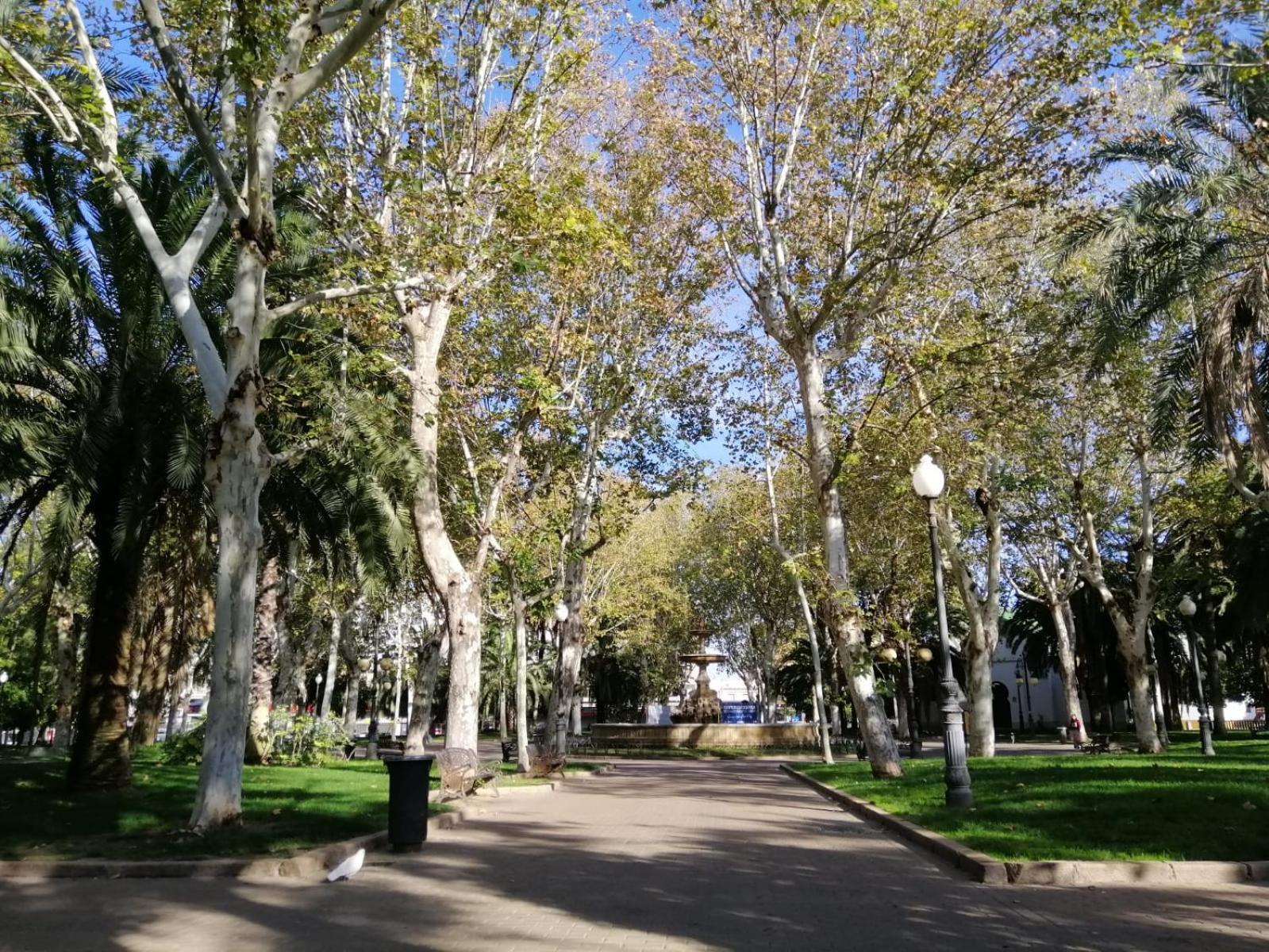 Trotamundos, Apartamento Nuevo En El Centro Córdoba Exterior foto
